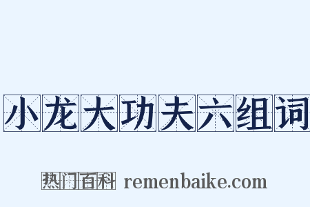 小龙大功夫六组词是什么意思的图片